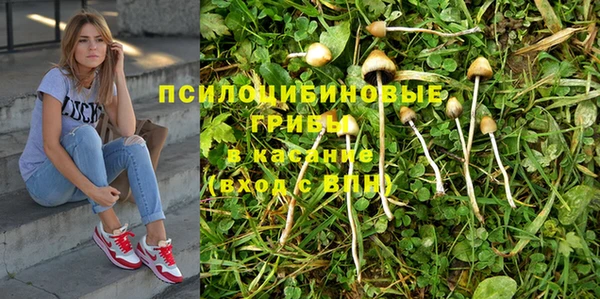 амф Абаза