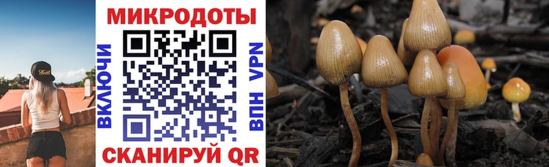 Галлюциногенные грибы MAGIC MUSHROOMS  Полтавская 